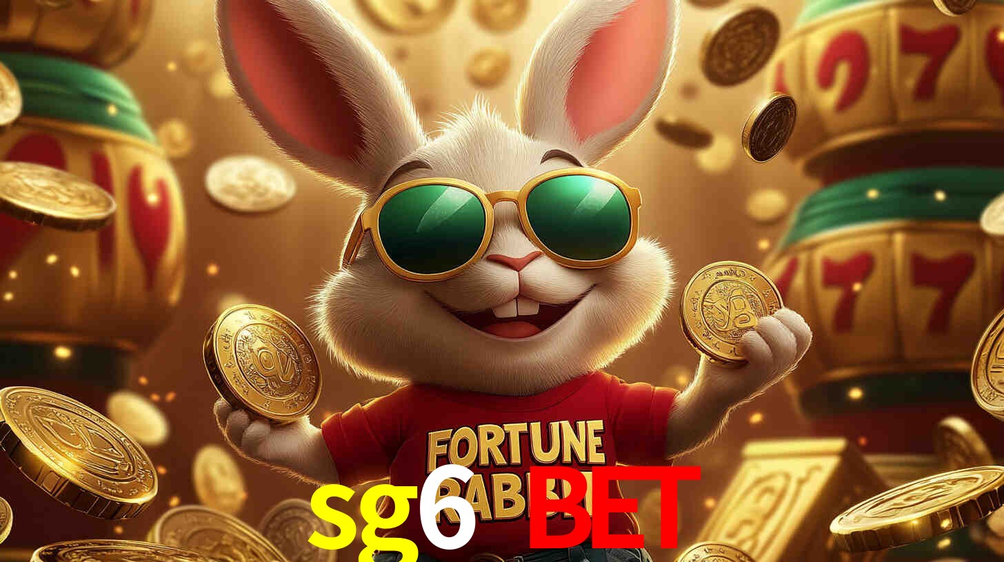 Programa VIP sg6 bet